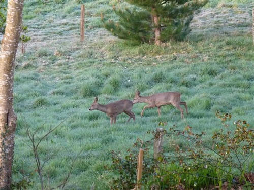 box pour noël, coffret cadeau de noël en Bretagne, dans le Finistère