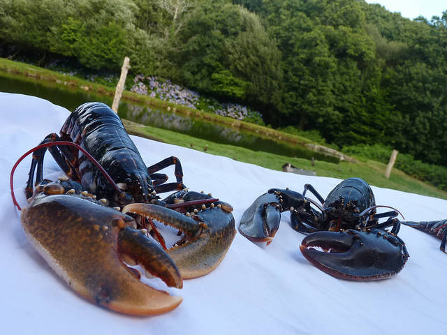 box pour noël, coffret cadeau de noël en Bretagne, dans le Finistère