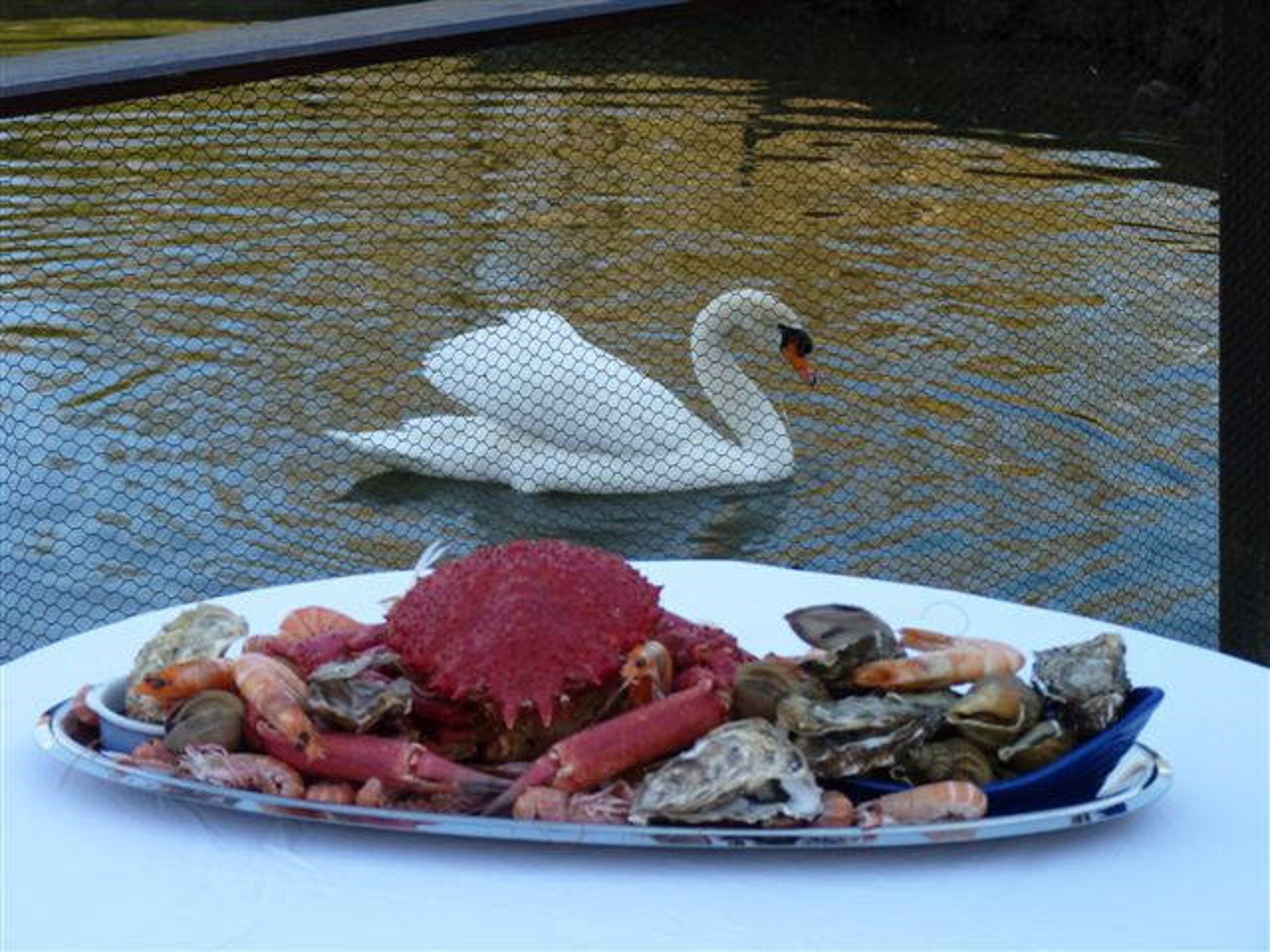 Des séjours à thème : séjours cadeaux, box ou coffret cadeau, voyage de noce, week-end romantique. départ en retraite. Pour un anniversaire. une escapade en amoureux ou une lune de miel. au bord de la mer Vous serez hébergés en chambres d hotes avec bain jacuzzi en Bretagne, dans le Finistère